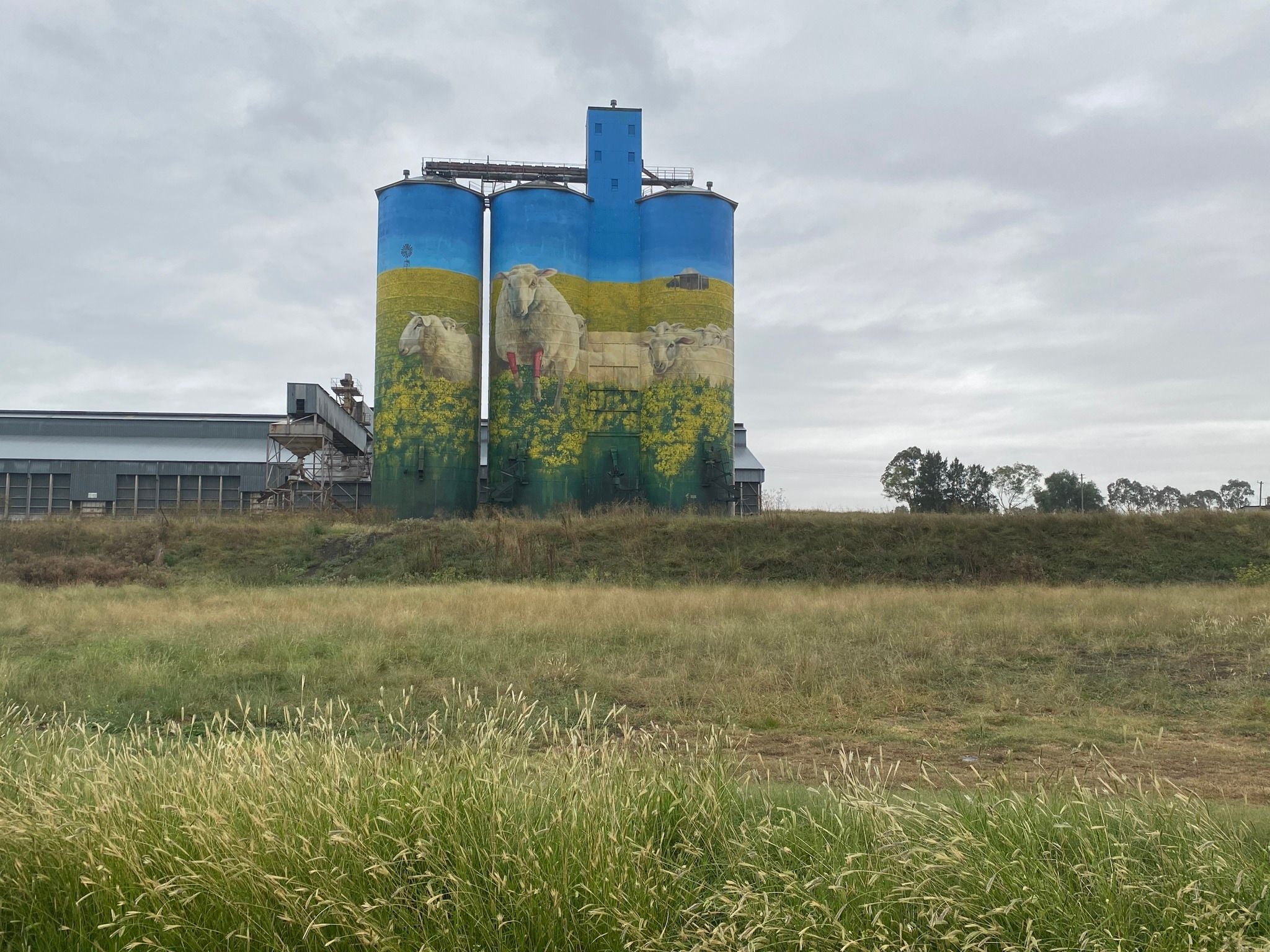 Dubbo Zoo 2025 Image -67de048c0ee95